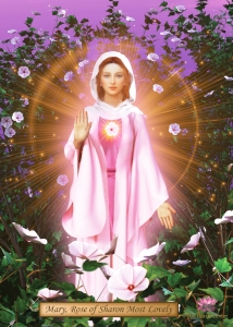 Mary, Rose of Sharon Most Lovely 5x7